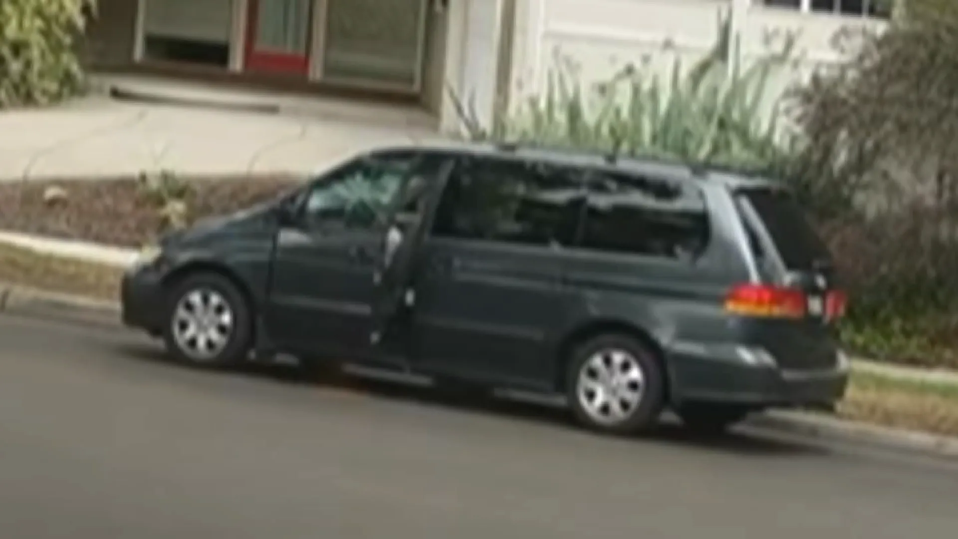 Anaheim woman faces federal charge in puppy's death in Santa Ana
